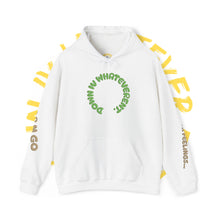 Load image into Gallery viewer, Down IV Whatever Hoodie – GREMLIN EDITION Graphic Pullover

